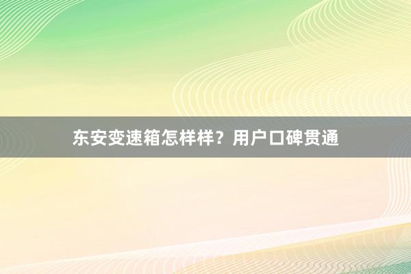 东安变速箱怎样样？用户口碑贯通